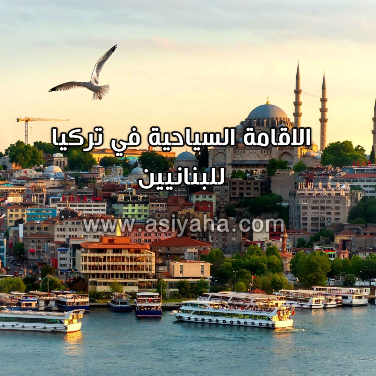 الاقامة السياحية في تركيا للبنانيين